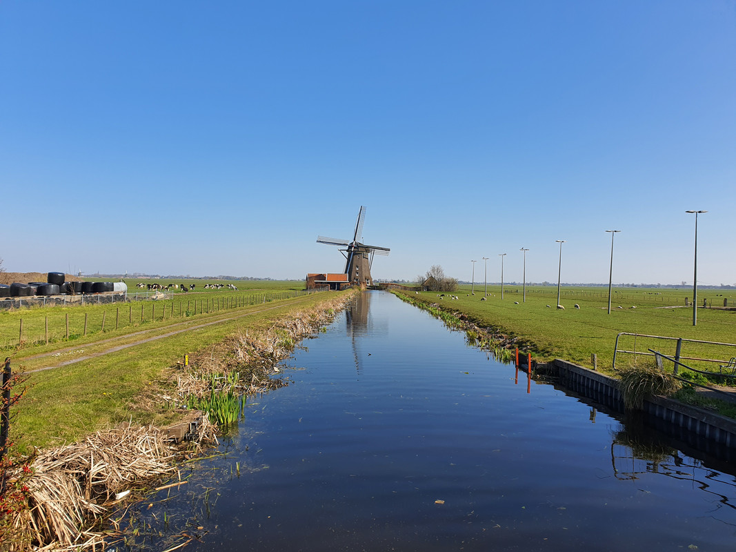 Pieter Zuijkerbuijk, De Dikke Molen 02 Alphen aan den Rijn 05-04-2020