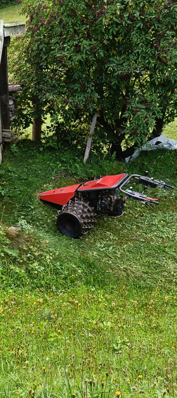 IMG20250908161428.jpg