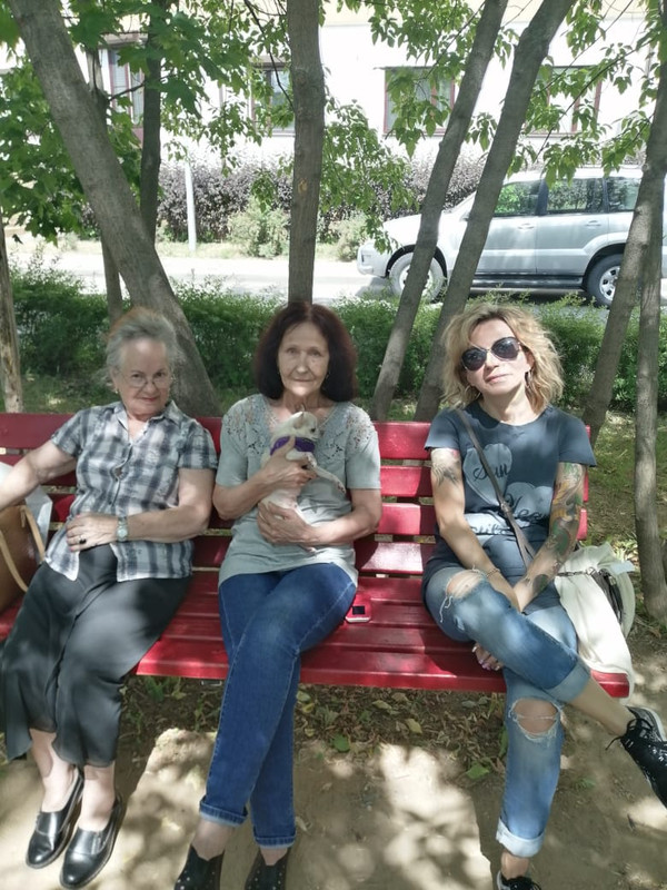 Красавица и воры 3