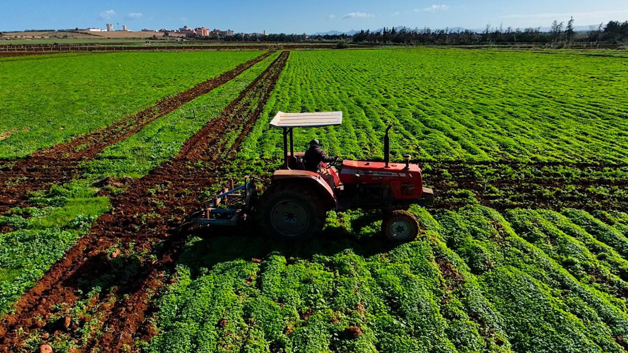 FB-IMG-1770552161961