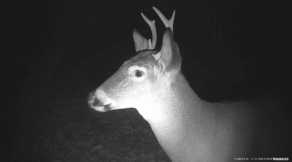 23CBE521-E371-4961-B2F6-3F80DB605F48