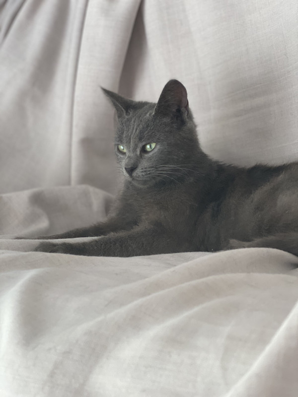 70406B63-23F5-4FB6-8DFA-71A678BABC8C