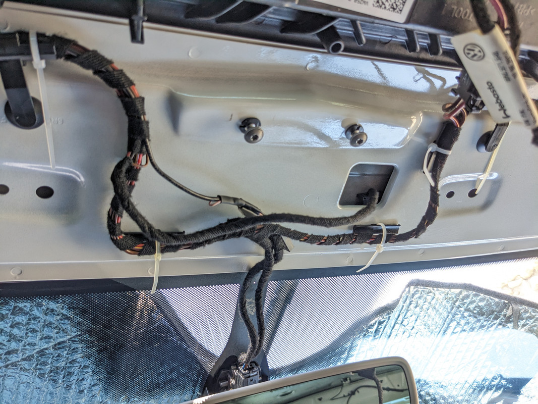 PXL_20250810_114807150 (1)