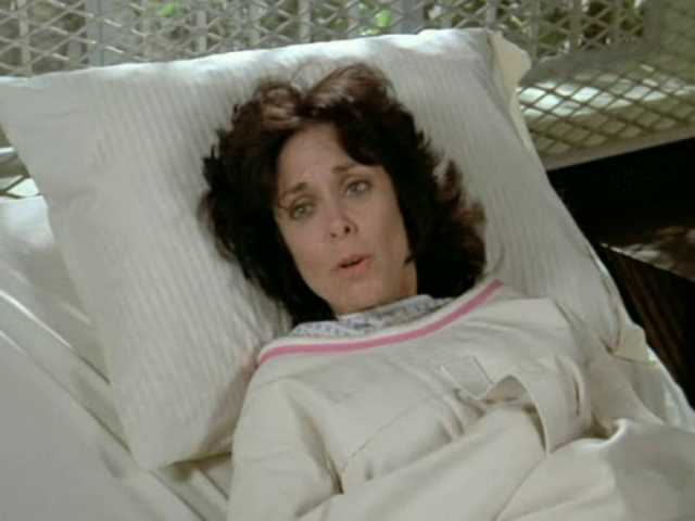 Remington Steele (5)