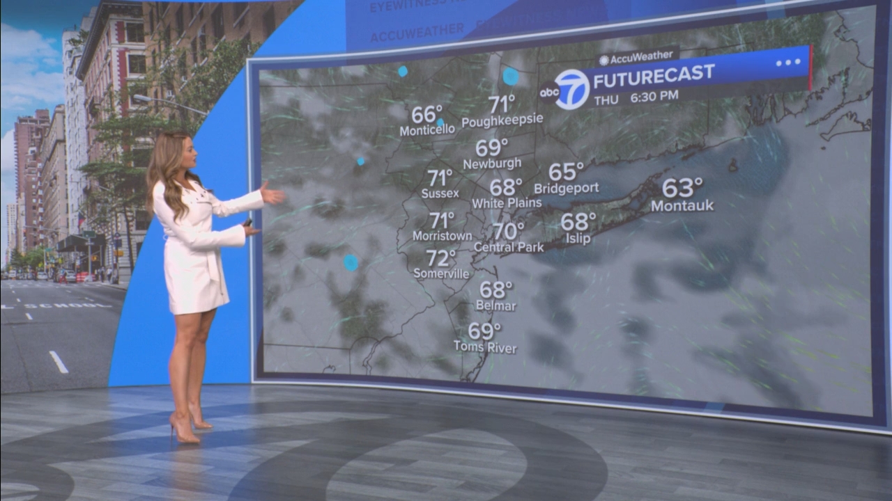 Eyewitness News Mornings at 10_20250529_15001600.ts_snapshot_00.50.27.001