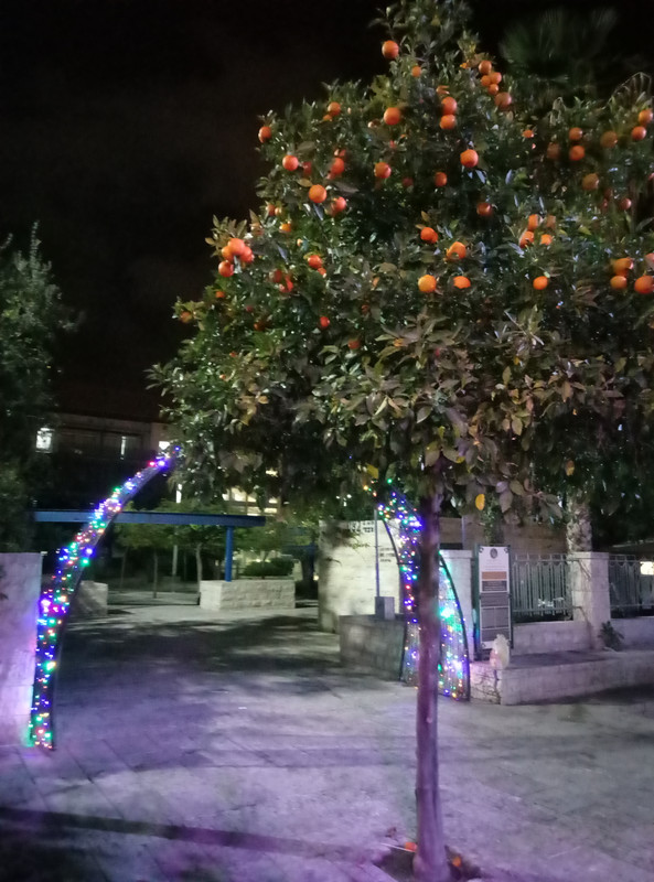 Праздник праздников в Хайфе 2018 - 19