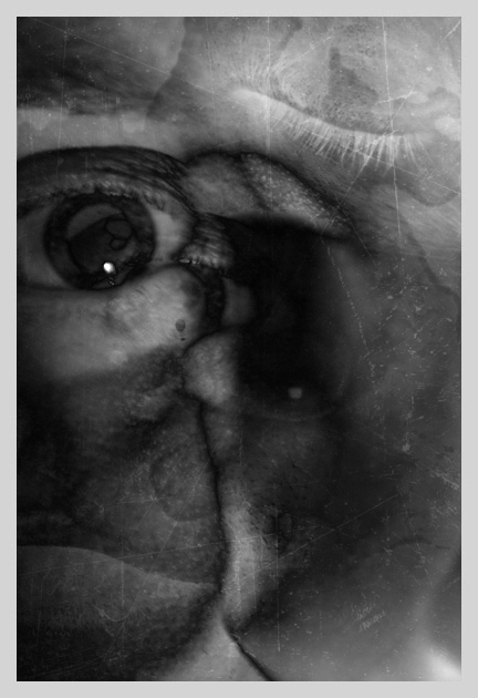 Le Monstre