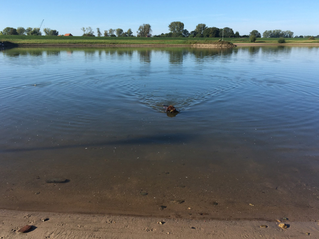 2023-24-09 Claire Rijnapport 3 IMG_2702 (002)