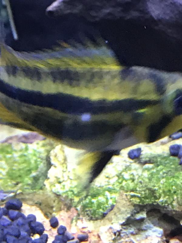 5F31F5D0-23C3-434C-9220-9B29A7E7DD85