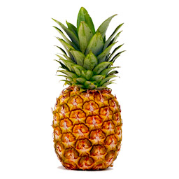 https://i.postimg.cc/C5FQ54qv/ananas.jpg