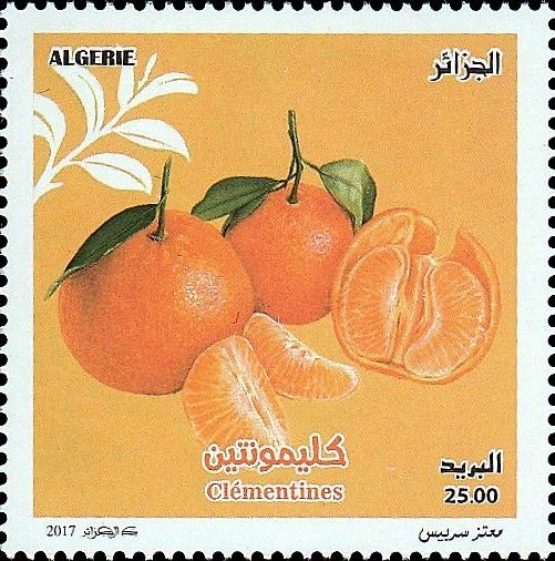 Stamp 6