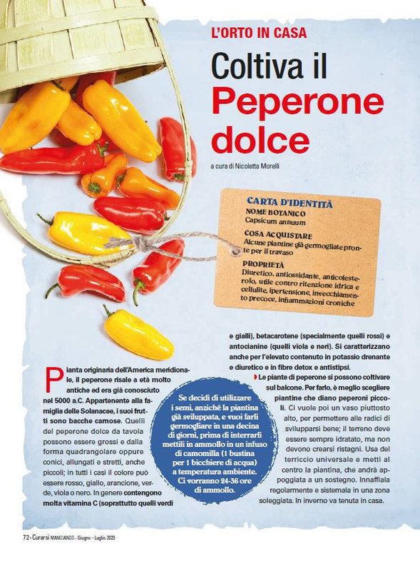 Cur Mang Giu-Lug 2023 (11)