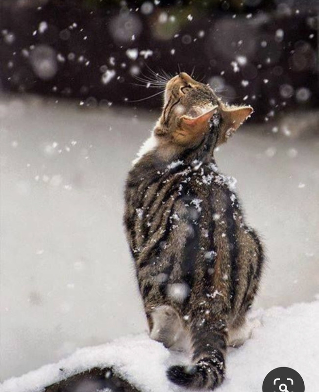 Screenshot_20230831_231557_Pinterest