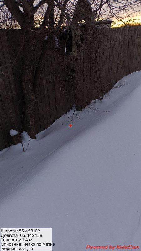 photo 45 2026 02 15 07 51 20