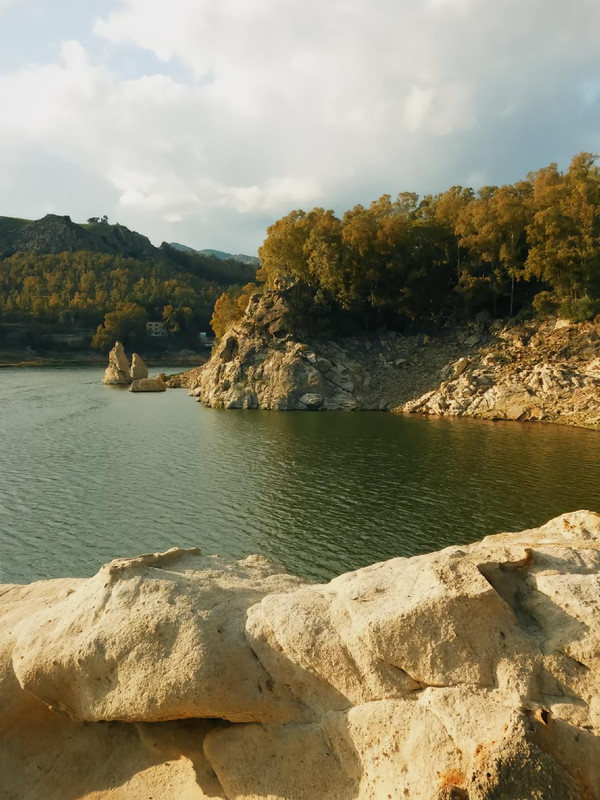 photo 18 2026 01 10 16 00 05