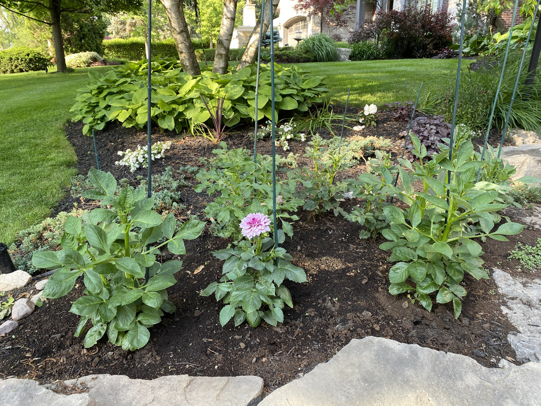 25B1B99B-8872-4B69-8ABC-F832699AA7AA