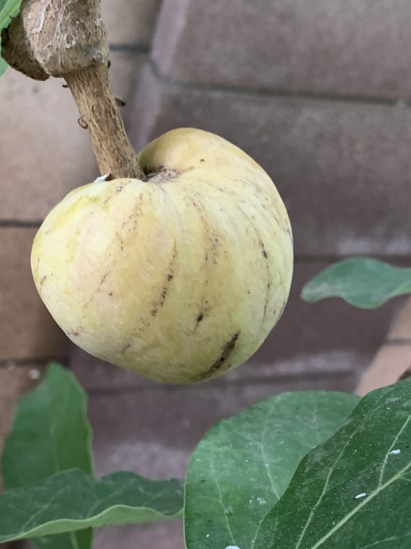 3C6C3D77-EC62-446B-9A50-6BB58B24DEAD