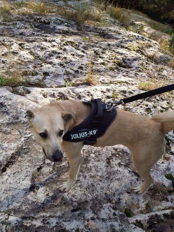 ральф в испании 3