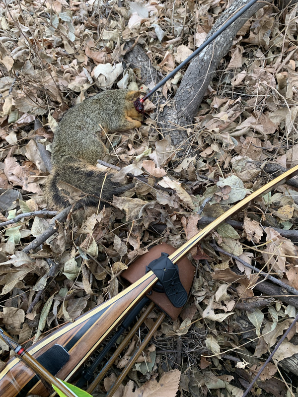 B0A243CE-8D3D-48D2-93D6-072465F4F50E