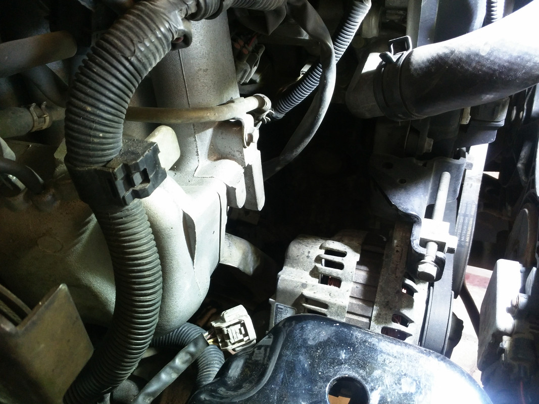 вид сверху 1