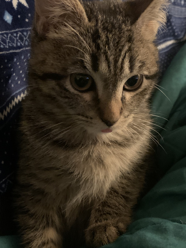 0D9862DE-04CA-4BF5-8DC7-3DDF322C9A4F