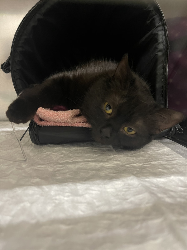 3A3CB843-A838-45F8-B30E-8689F695B3DC