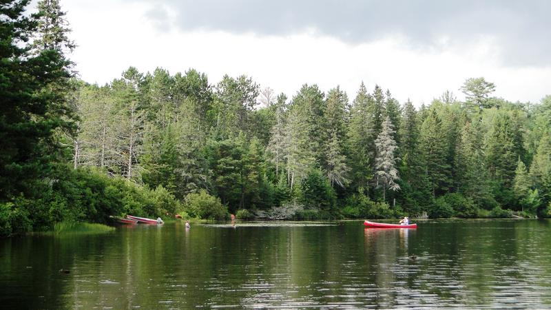 Algonquin - 3.000 km por el este de Canadá (11)
