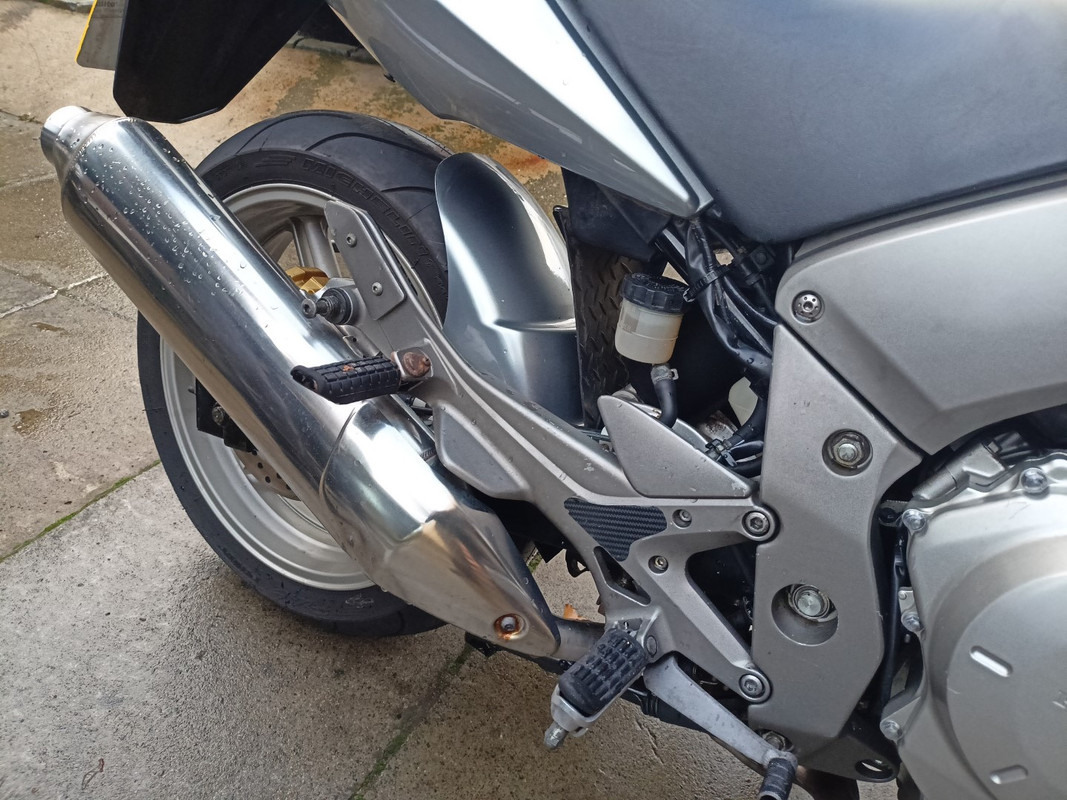 IMG20221120143511 (Large)