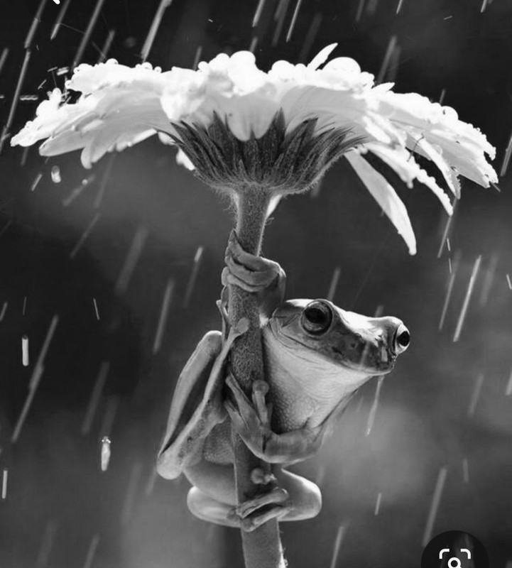 Screenshot_20230401_234635_Pinterest