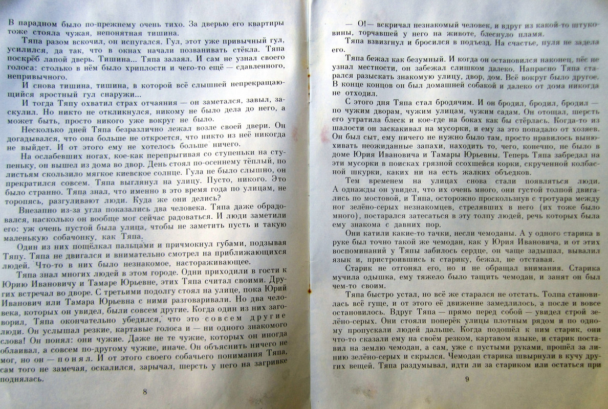 IMG-5003