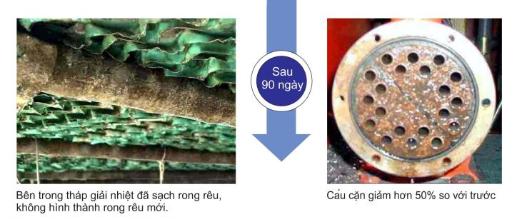 giá thiết bị xử lý cáu cặn ewater