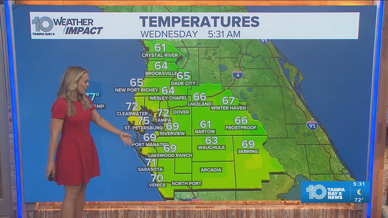 05 06 10 00 00 10 Tampa Bay News This Morning at 5 00 a m The AM ts snapshot 32 34 818