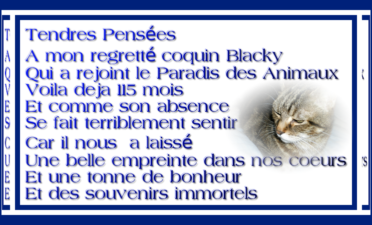 115-MOIS-BLACKY