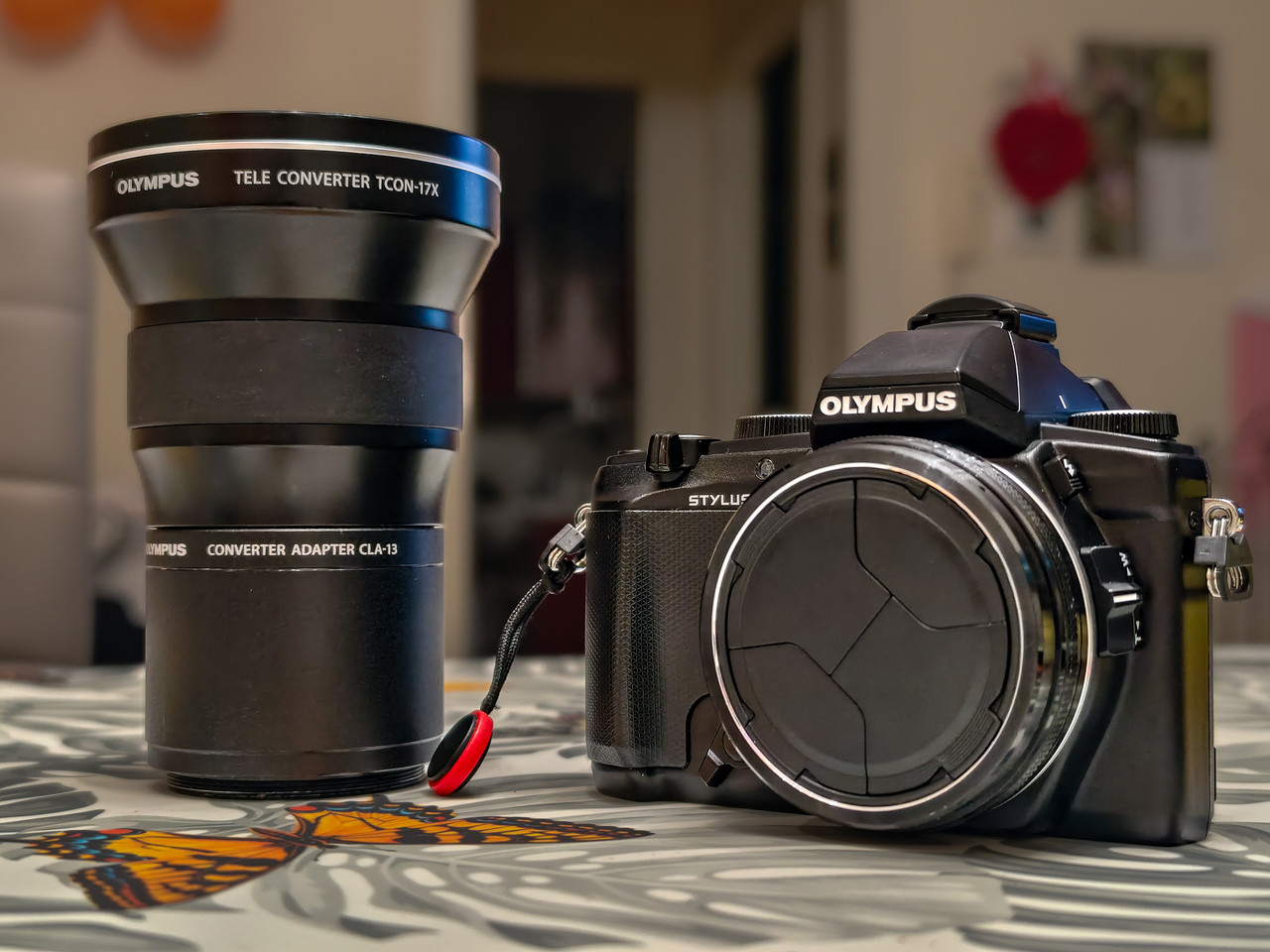 IMG 20260118 235355 (1)