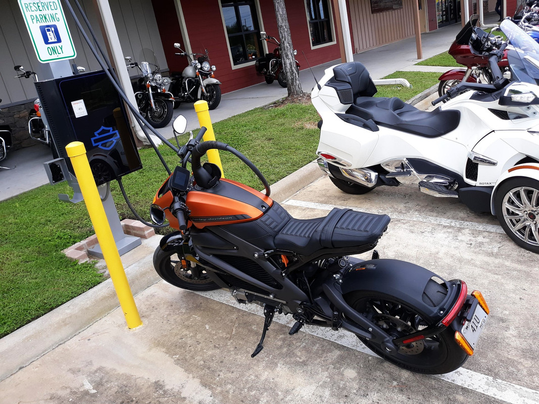 Harley livewire forum sale