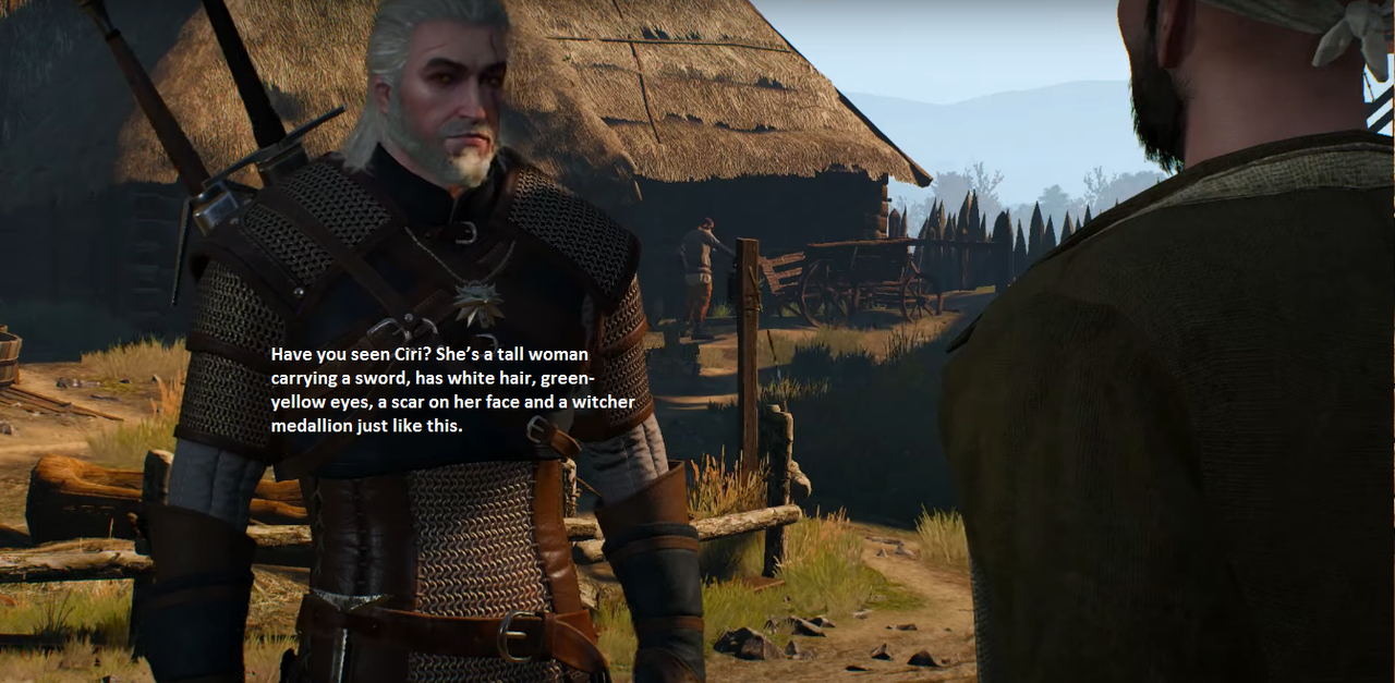 A Checklist for Fail-able Side Quests in The Witcher 3: Wild Hunt : r/ witcher