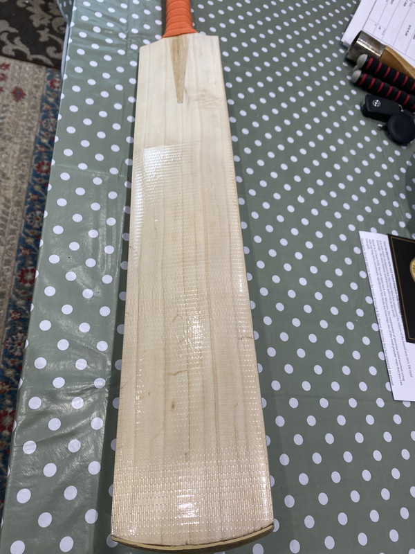 910C505E-4226-4AC0-99CE-BD966EF8A927