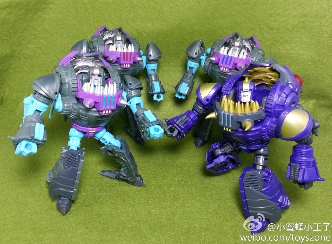 1524264_448364868596355_721082846_o