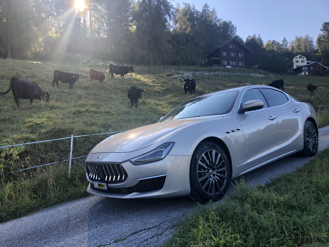 7F494A71-02D4-4F44-A2EB-D5757EDA0567