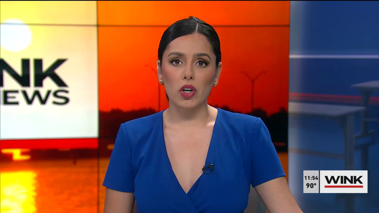 07.23 - 16.30.00 - WINK NEWS at 11 30am. Midday news..ts_snapshot_31.04.719