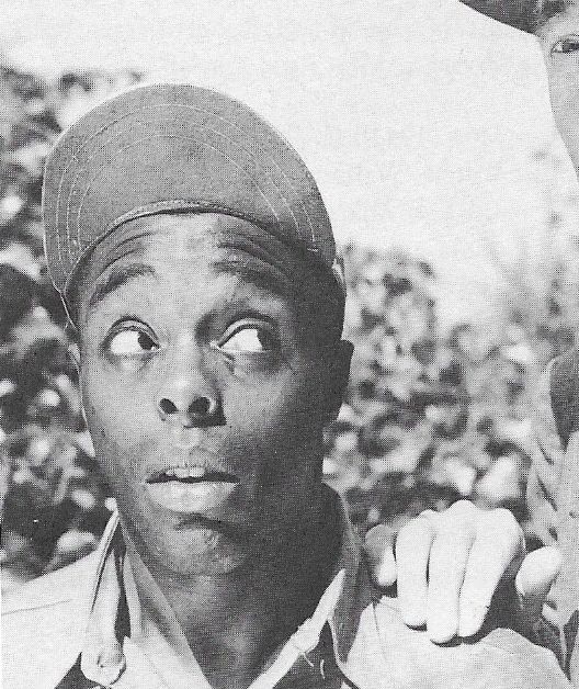 MV5BMDhiZjdhNzYtYmFjOS00OGIzLTk1MTctM2MxYmIyMWM4OTI2XkEyXkFqcGc@._V1_