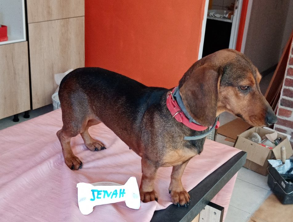 [Image: image000002-8.jpg]