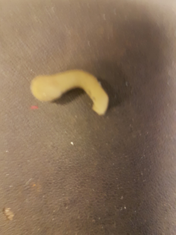 Volet ventilation (clips) (2)