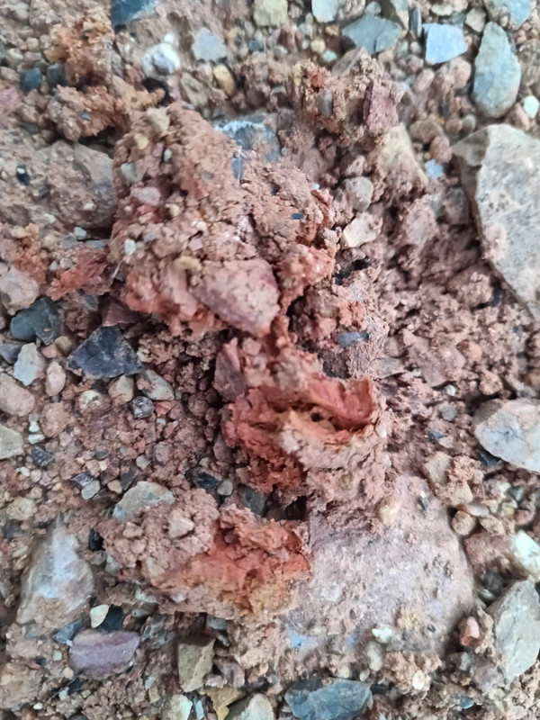 IMG 20251207 153345 880