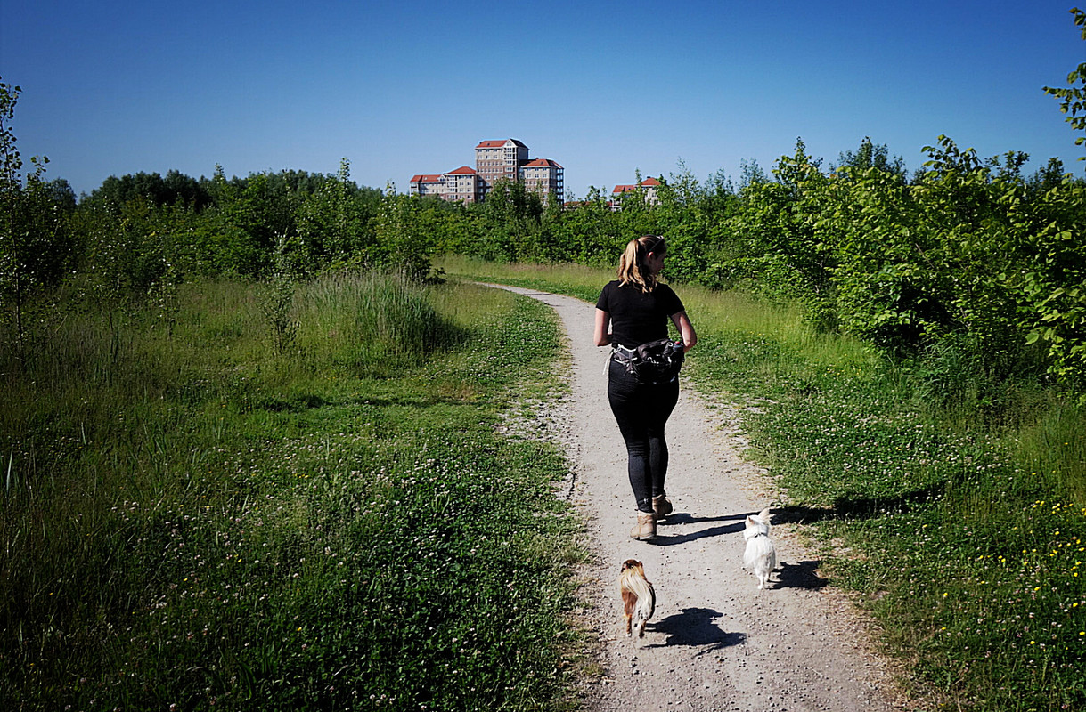 Lumii_20210613_105322014