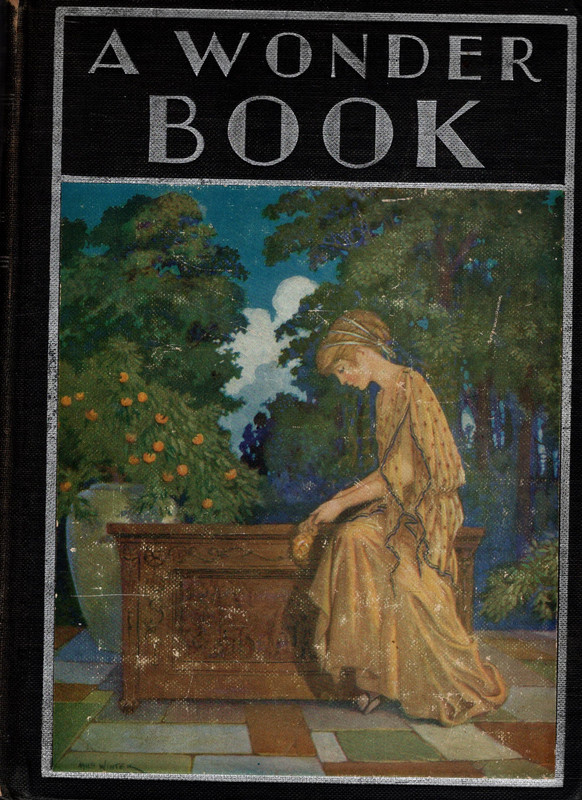 A Wonder Book
