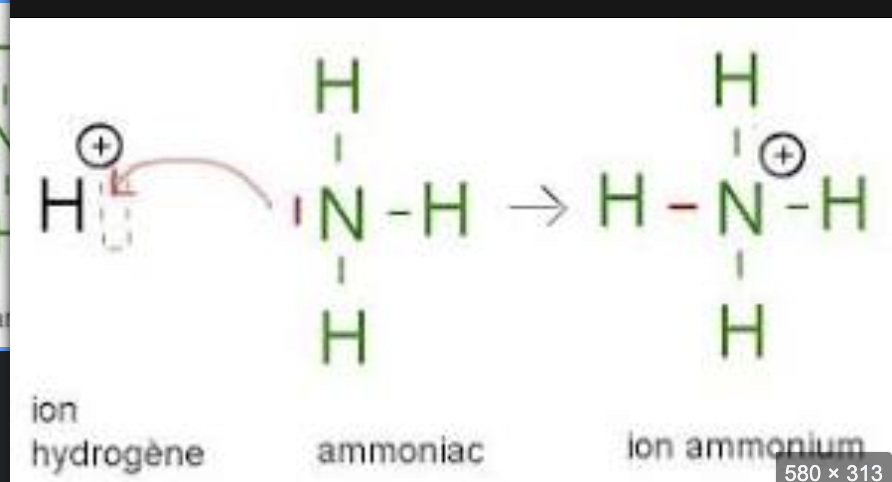 Capture d’écran 2023-10-17 à 22.52.45