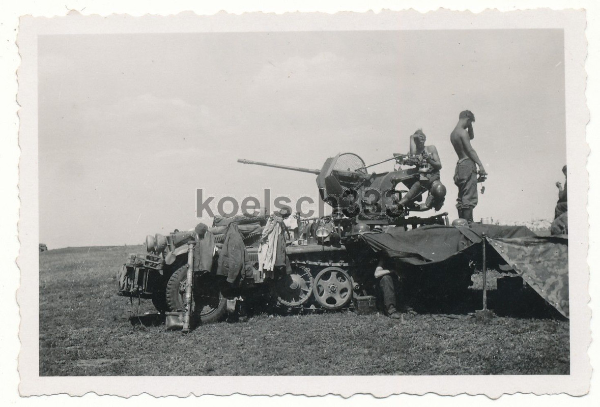 Foto Panzer Halbkette mit 2cm Flak Geschütz Luft