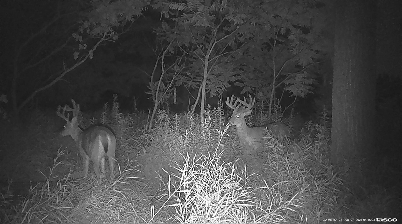 2405C59E-E58B-4EE5-A833-C106EB349546