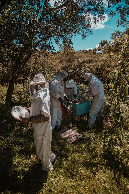 people-honey.jpg